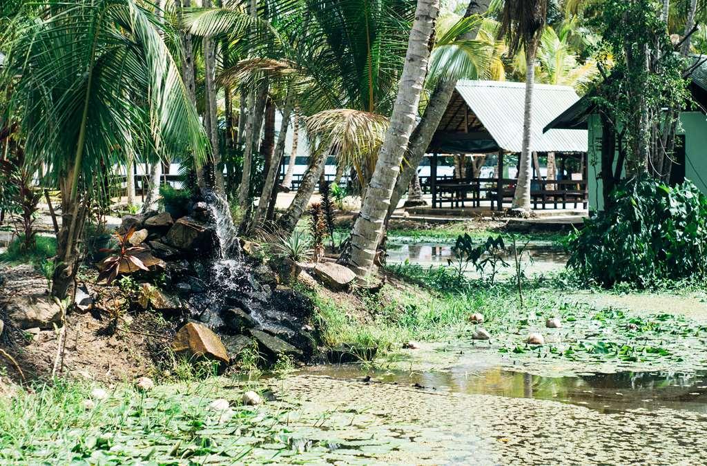 Overbridge River Resort باراماريبو المظهر الخارجي الصورة