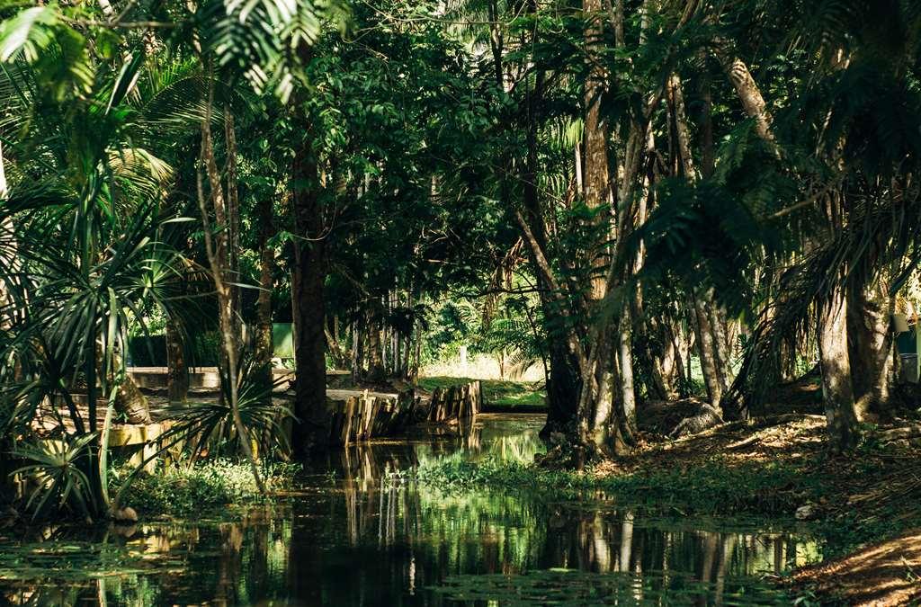 Overbridge River Resort باراماريبو المظهر الخارجي الصورة